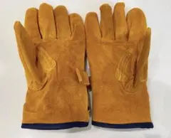 Item thumbnail for item 6cef6e12-8060-495e-90a9-e1f364a307f0