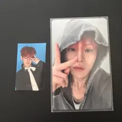 VIVI treasure ヨシ　トレカ