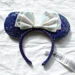 未使用タグ付き　ディズニーランドパリ限定　お城カチューシャ　DLP購入 未使用タグ付き ディズニーランドパリ限定 モアナ カチューシャ