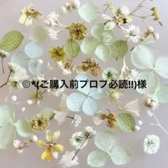 ©️*(ご購入前プロフ必読‼︎)様 リクエスト 3点 まとめ商品