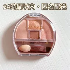 CANMAKE キャンメイク プランぷくコーデアイズ01