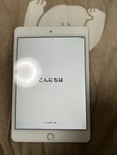 Apple iPad mini4