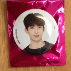SEVENTEEN ドギョム   缶バッジ　セブチカフェ