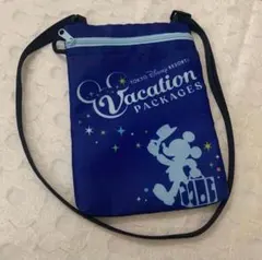 ⭐︎ バケーションパッケージ予約者限定 ＊.° チケットホルダー ⭐︎