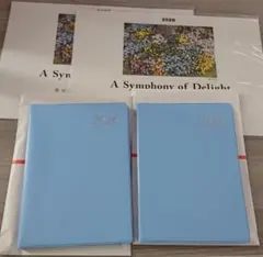 Item thumbnail for item b0e8206a-119b-47f7-ba62-62a1b8e654e2