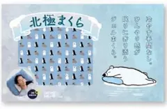 北極まくら