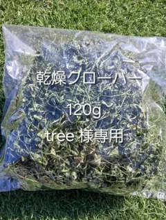 Item thumbnail for item 3e0ffa68-c78a-446f-b72f-27f1adf957fc