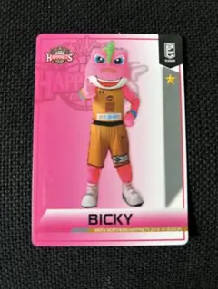 Bリーグカード（秋田ノーザンハピネッツ）