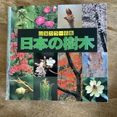 日本の樹木 山渓カラー名鑑　1989年のサムネイル