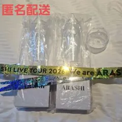 We are ARASHI ペンライト2本セット