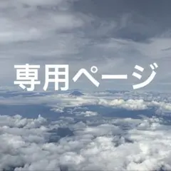 専用