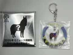 JRA ウェルカムチャンス G1レース優勝馬アクリルキーホルダー ドゥ