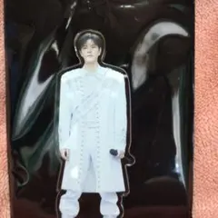 StrayKids VR アクスタ　スンミン