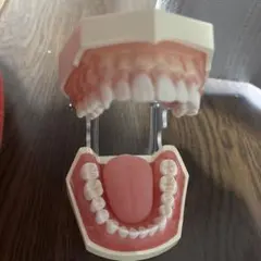 2026年最新】ニッシン歯科の人気アイテム - メルカリ