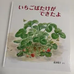 こまち様 リクエスト 3点 まとめ商品