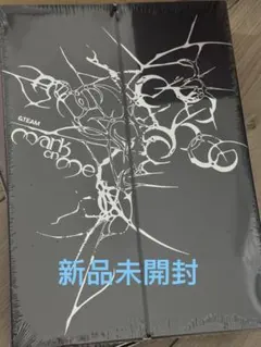 &TEAM mark on me 通常盤 CD 新品　未開封