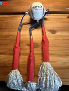 希少 PERFECT PITCH & THROW 野球 投球練習用具