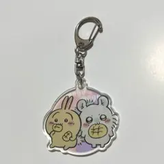うさぎ　モモンガ　100均　アクキー