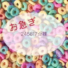 【お急ぎ】245817☆様