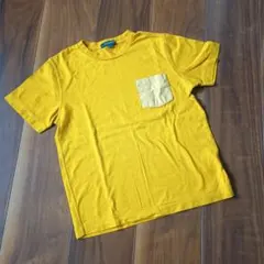最終値下げ BURBERRY バーバリー Tシャツ マスタード色 130Aのサムネイル