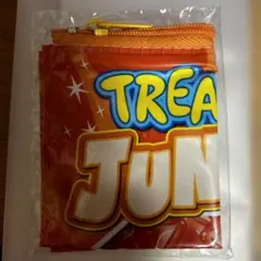 treasure ジュンギュ　ミニポーチ