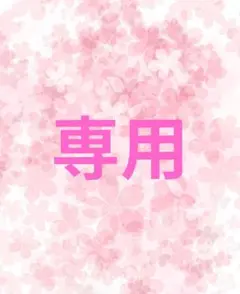 yk1725princess様専用　5月１日まで