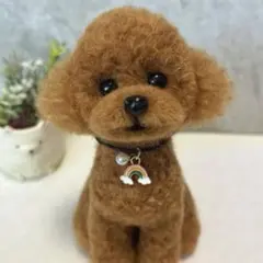 羊毛フェルトのトイプードル*.゜クリーム アプリコット - メルカリ