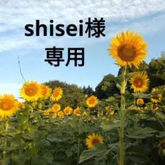 ◈*◈様 ポケカ　旧裏　まとめ売り 旧裏 ポケモンカード ゼニガメ カメール わるいカメックス