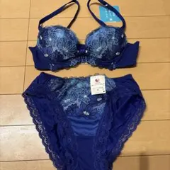 Wacoal リボンブラとショーツセット B65