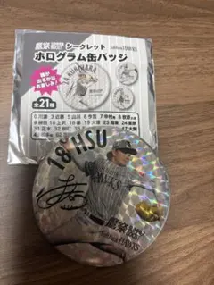 福岡ソフトバンクホークス 鷹祭 SUMMER BOOST 缶バッジ 18徐若熙