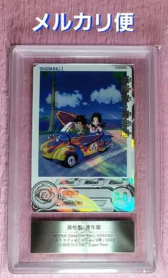 m88516010261_1.jpg?1767617417