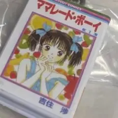 りぼん めじるしアクセサリー ママレードボーイ