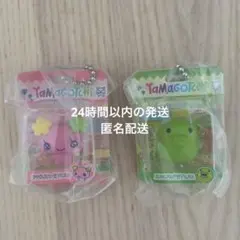 たまごっち ブリスターパッケージコレクション くちぱっち ふらわっち セット