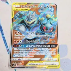 マーシャドー＆カイリキーGX SR SM10 ダブルブレイズ 100/095 - メルカリ