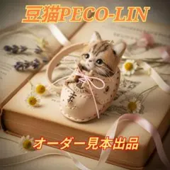 2026年最新】豆猫 peco-linの人気アイテム - メルカリ
