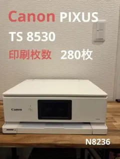 Canon PIXUS TS8530 印刷枚数880枚 N8230 - メルカリ