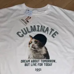 Tシャツ　サニーハウス　近藤千尋　SUNNYHOUSE Mサイズ　しまむら