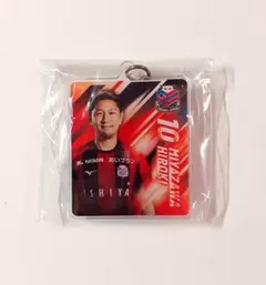 コンサドーレ スポーツ選手