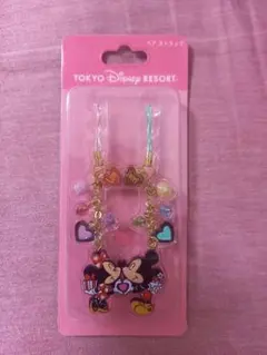 東京ディズニーリゾート ミッキー ミニー チャーム