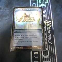 2025年最新】水面院 foilの人気アイテム - メルカリ