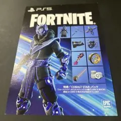 Fortnite COBALT STARパック 使用済み冊子
