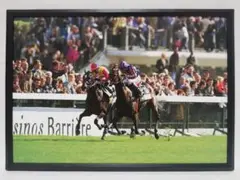 競馬 エルコンドルパサー パネル GREEN CHANNEL 2001