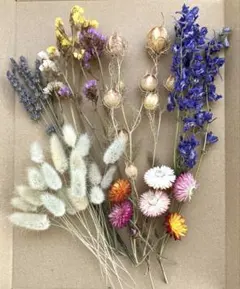 ドライフラワーのセット①（ネコポス発送）