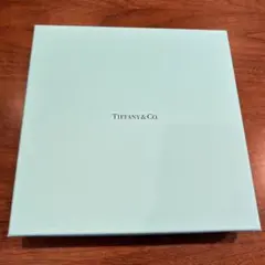 【空箱】Tiffany & Co.約22cm x 22cm x 4.5cm