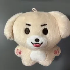 ENHYPEN ジェイ ぬいぐるみ 10cm マスター - メルカリ