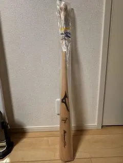 2025年最新】ミズノプロ 支給品の人気アイテム - メルカリ