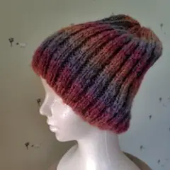 マルチカラーニット帽 フリーサイズ