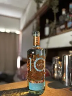 2025年最新】サイレントプールジンの人気アイテム - メルカリ