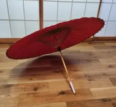 Item thumbnail for item 2c78c9f8-d41d-4858-8ee9-e75bba54045a