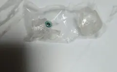 アイビー